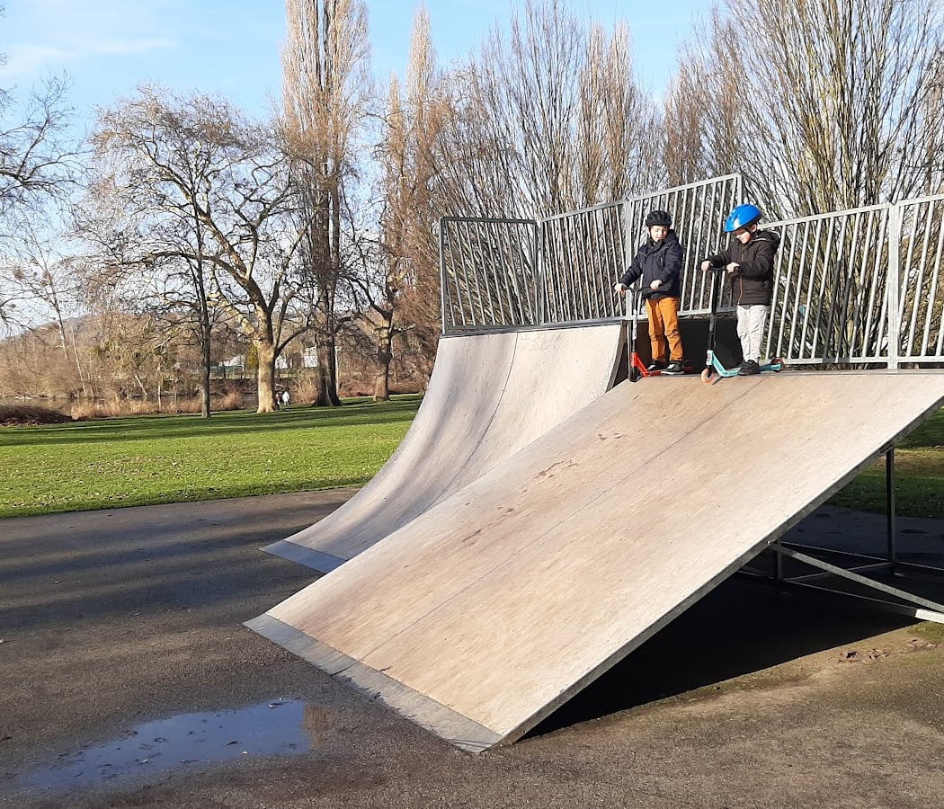Skatepark de l'île aux dames 1